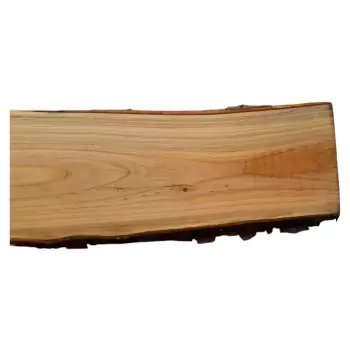 Deska Czereśni 155x15-22x2,2 cm