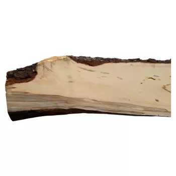 Deska Gruszy 158x9-19x2,8 cm