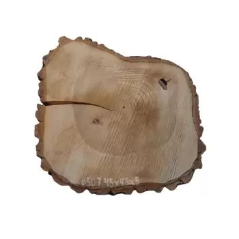 Plaster Orzecha Włoskiego 45x43x5cm