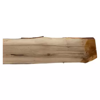 Deska Orzecha Włoskiego 156x13-23x2,5 cm