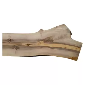 Deska Orzecha Włoskiego 164x20-37x2,8 cm