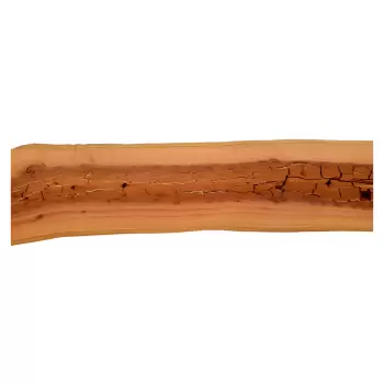 Deska Śliwy 150x13-19x2,9 cm