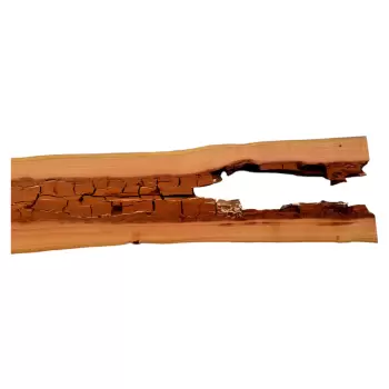 Deska Śliwy 150x13-19x2,9 cm