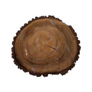 Plaster Orzecha Włoskiego 44x39x5cm