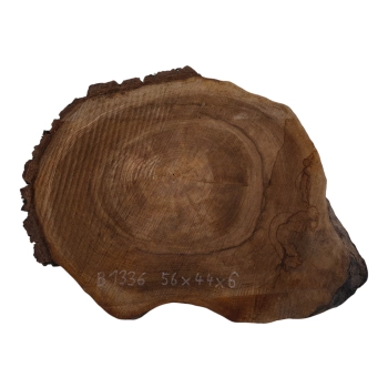 Plaster Orzecha Włoskiego 56x44x6cm