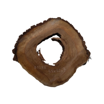 Plaster Orzecha Włoskiego 55x52x7cm