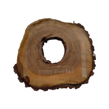 Plaster Orzecha Włoskiego 50x48x6cm