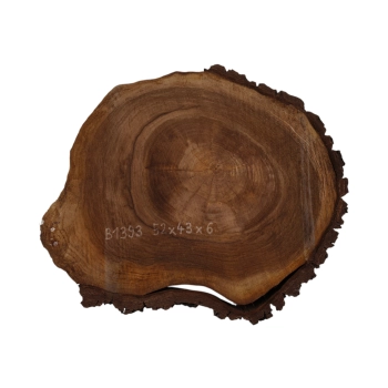 Plaster Orzecha Włoskiego 52x43x6cm