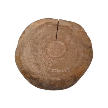 Plaster Wiązu 66x62x8cm