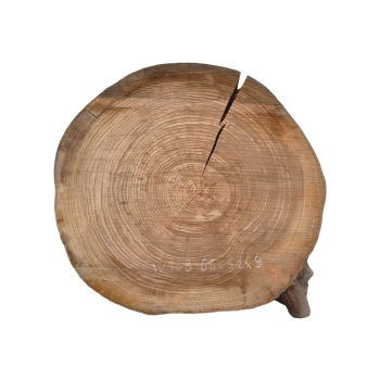 Plaster Wiązu 66x62x9cm
