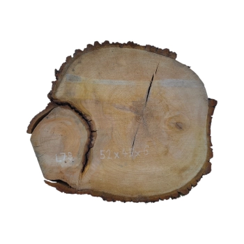 Plaster Lipy 52x45x6cm