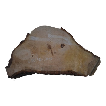 Plaster Lipy 78x38x5cm