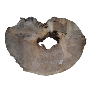 Plaster Jawora 70x52x7cm