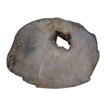 Plaster Jawora 71x58x7cm