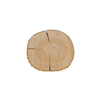 Plaster Jesionowy 54x48x8cm Jesion