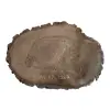 Plaster Orzecha Włoskiego 47x32x4cm