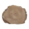 Plaster Orzecha Włoskiego 43x37x5cm