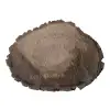 Plaster Orzecha Włoskiego 43x32x4cm