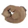Plaster Orzecha Włoskiego 48x35x5cm