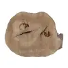Plaster Orzecha Włoskiego 47x37x6,5cm