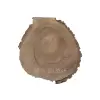 Plaster Orzecha Włoskiego 32x33x4cm