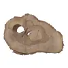 Plaster Orzecha Włoskiego 50x33x5cm