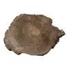 Plaster Orzecha Włoskiego 45x31x4cm