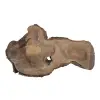 Plaster Orzecha Włoskiego 59x35x4cm