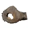 Plaster Orzecha Włoskiego 55x40x8cm