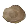 Plaster Orzecha Włoskiego 43x37x5cm