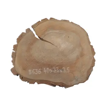 Plaster Orzecha Włoskiego 40x33x3,5cm