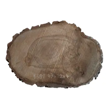 Plaster Orzecha Włoskiego 47x32x4cm