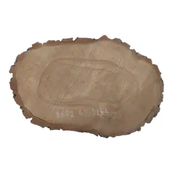 Plaster Orzecha Włoskiego 49x31x4cm