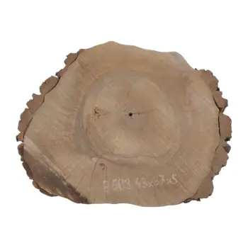 Plaster Orzecha Włoskiego 43x37x5cm