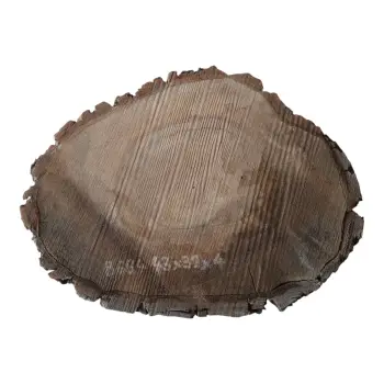 Plaster Orzecha Włoskiego 43x32x4cm