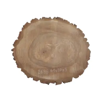 Plaster Orzecha Włoskiego 41x37x5cm