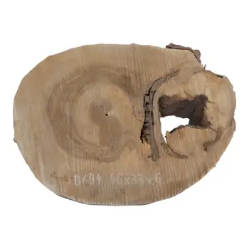 Plaster Orzecha Włoskiego 46x33x6cm