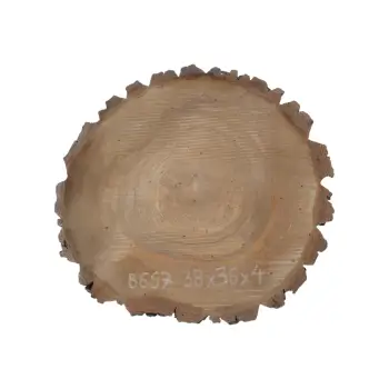Plaster Orzecha Włoskiego 38x36x4cm