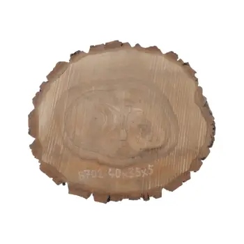 Plaster Orzecha Włoskiego 40x35x5cm