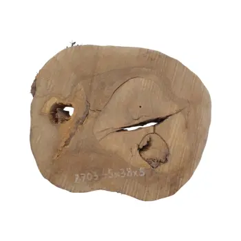 Plaster Orzecha Włoskiego 45x38x5cm