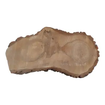 Plaster Orzecha Włoskiego 68x32x6,5cm