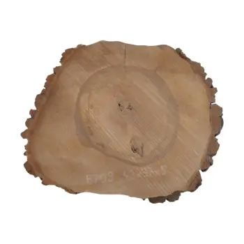 Plaster Orzecha Włoskiego 42x37x5cm