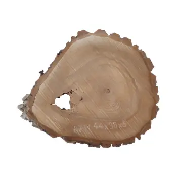 Plaster Orzecha Włoskiego 44x38x5cm