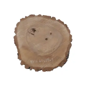 Plaster Orzecha Włoskiego 40x39x5cm