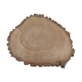 Plaster Orzecha Włoskiego 41x33x4cm