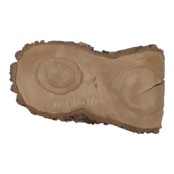 Plaster Orzecha Włoskiego 48x26x4cm