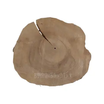 Plaster Orzecha Włoskiego 34x31x4cm