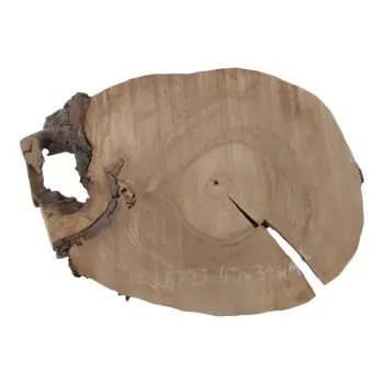 Plaster Orzecha Włoskiego 40x31x4cm