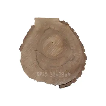 Plaster Orzecha Włoskiego 32x33x4cm