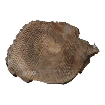 Plaster Orzecha Włoskiego 45x31x4cm